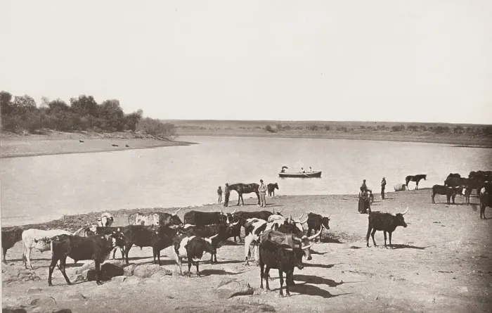 Framed Print : Vintage 19th century photograph: bend in the Vaal River, South Africa Framed Print : Vintage 19th century photograph: bend in the Vaal River, South Africa