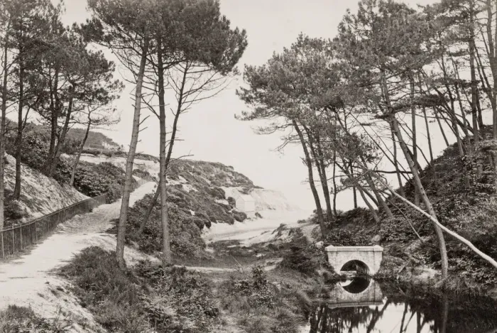 Framed Print : Vintage 19th century photograph: Branksome Chine Beach, Bournemouth Framed Print : Vintage 19th century photograph: Branksome Chine Beach, Bournemouth