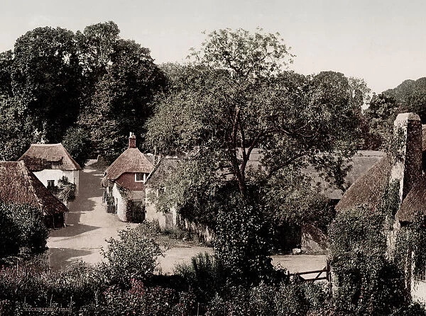 Vintage 19th century photograph: Cockington, a village near Torquay in the English county