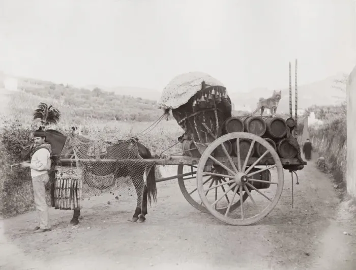 Framed Print : Vintage 19th century photograph: horse and cart with wine barrels, vicinity of Rome Framed Print : Vintage 19th century photograph: horse and cart with wine barrels, vicinity of Rome