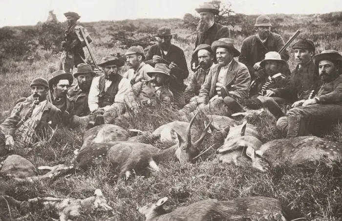 Framed Print : Vintage 19th century photograph: hunters with their catch of deer, South Africa Framed Print : Vintage 19th century photograph: hunters with their catch of deer, South Africa