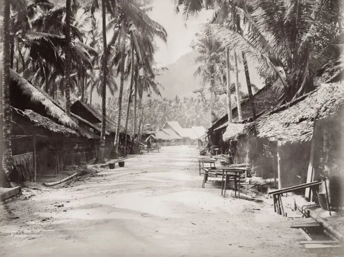 Framed Print : Vintage 19th century photograph: street scene, Ceylon, Sri Lanka Framed Print : Vintage 19th century photograph: street scene, Ceylon, Sri Lanka