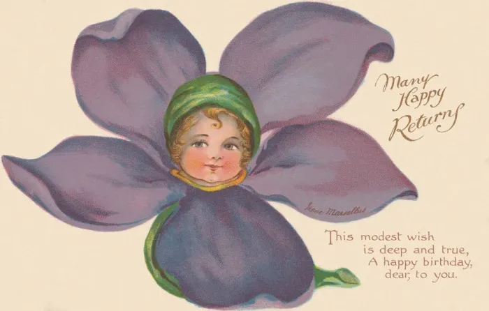 Framed Print : Violet Flower Faces Framed Print : Violet Flower Faces
