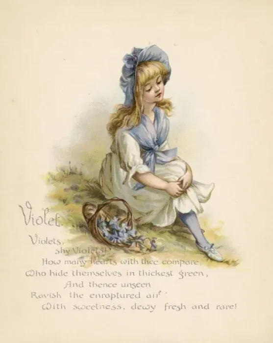 Framed Print : Violet / Language of Flowers Framed Print : Violet / Language of Flowers
