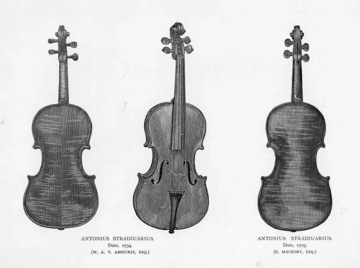 Framed Print : Violins by Stradivarius Framed Print : Violins by Stradivarius