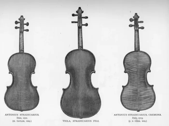 Framed Print : Two violins and a viola by Stradivarius