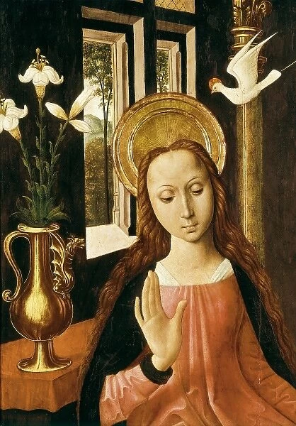 Virgin of Montserrat. Patron