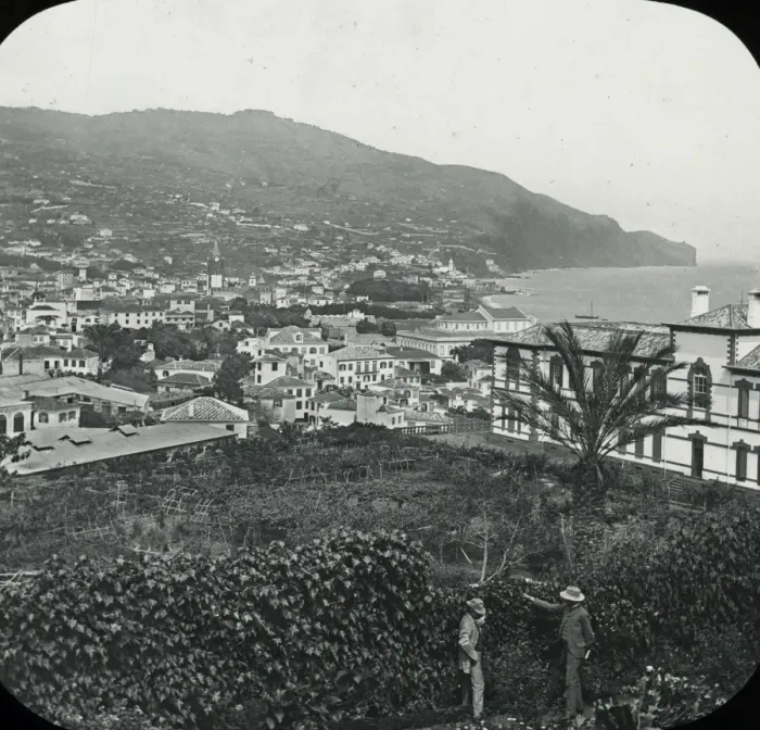 Framed Print : Visit to Madeira - Funchal from the Hotel Framed Print : Visit to Madeira - Funchal from the Hotel