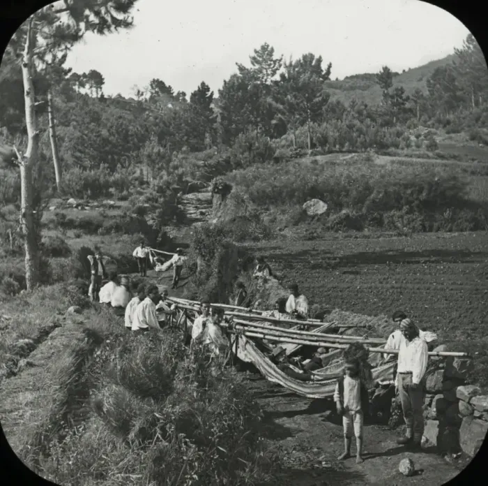Framed Print : Visit to Madeira - Hammock men resting Framed Print : Visit to Madeira - Hammock men resting