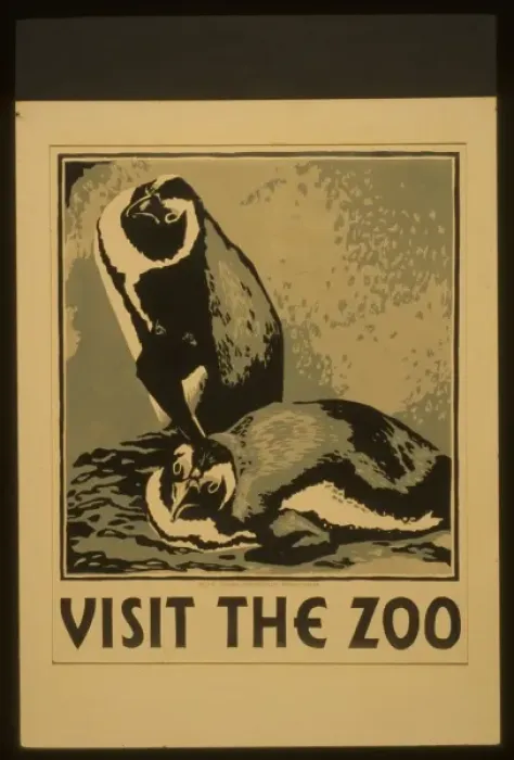 Framed Print : Visit the zoo Framed Print : Visit the zoo