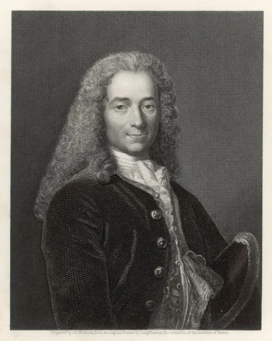 Framed Print : Voltaire Mollison Framed Print : Voltaire Mollison
