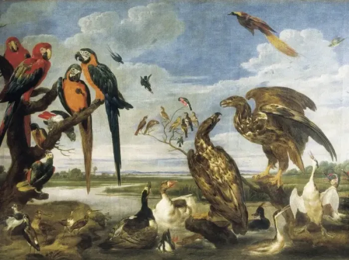 Framed Print : VOS, Paul de (1596-1678). Variety of Birds. Flemish Framed Print : VOS, Paul de (1596-1678). Variety of Birds. Flemish