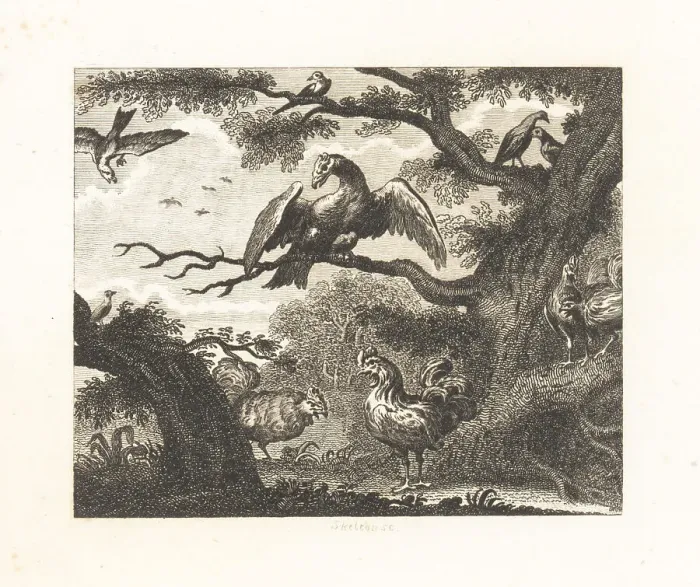 Framed Print : The Vulture, the Sparrow and Other Birds