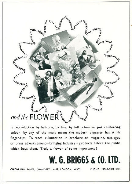 W. G. Briggs & Co. Ltd Advertisement