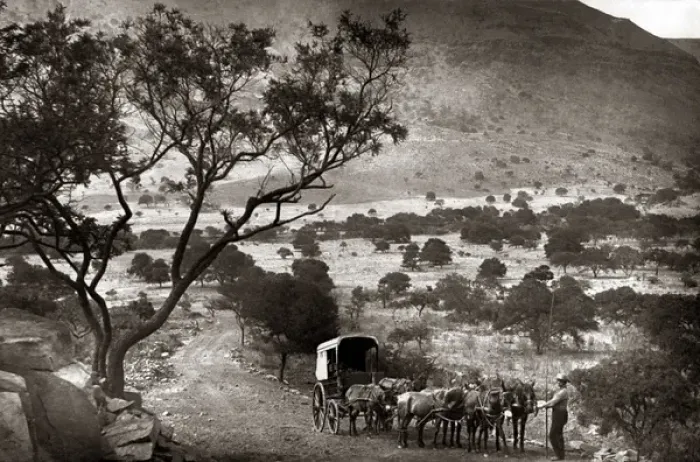 Framed Print : Wagon team, Little Hell, Elandsburg, Transvaal, South Africa Framed Print : Wagon team, Little Hell, Elandsburg, Transvaal, South Africa