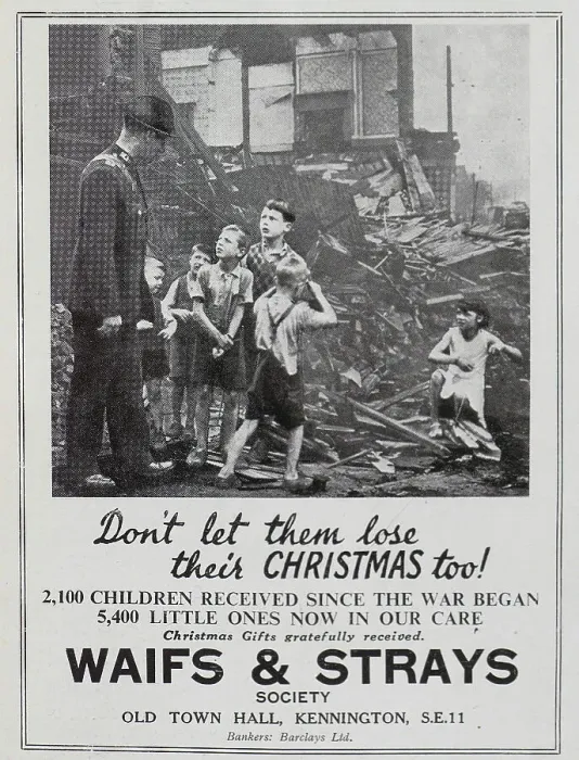 Framed Print : Waifs and Strays appeal Framed Print : Waifs and Strays appeal