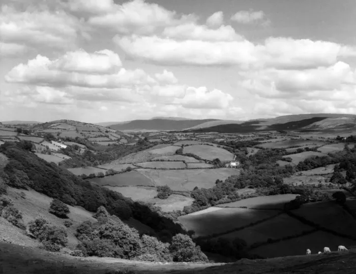 Framed Print : Wales / Carmarthenshire Framed Print : Wales / Carmarthenshire