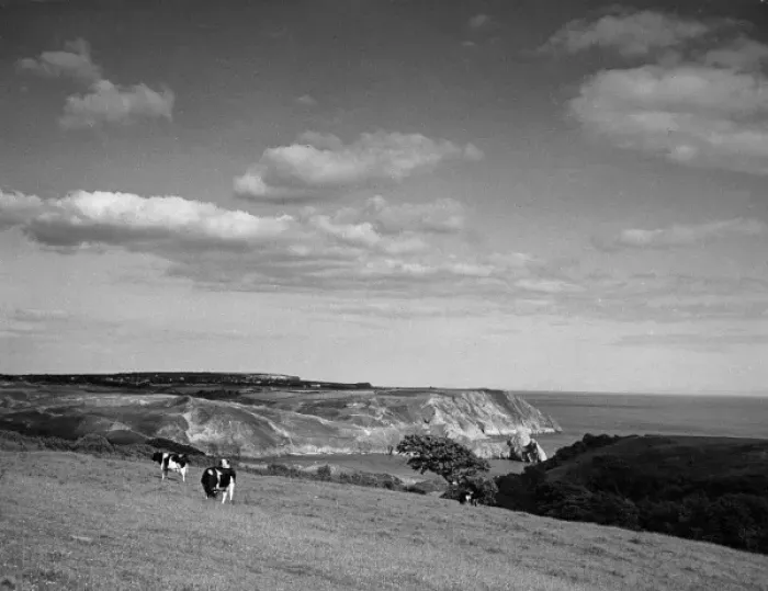 Framed Print : Wales / Three Cliffs Bay Framed Print : Wales / Three Cliffs Bay