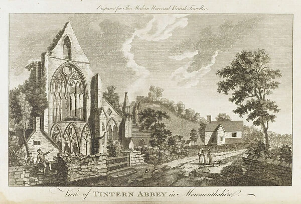 Wales  /  Tintern Abbey