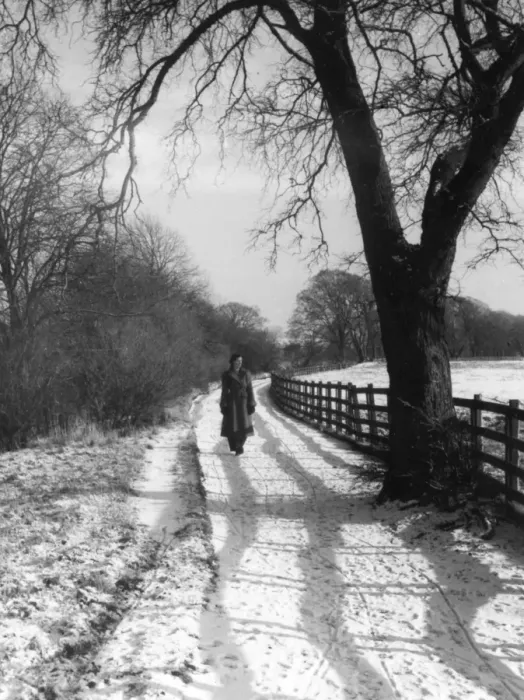 Framed Print : Walking in the Snow Framed Print : Walking in the Snow