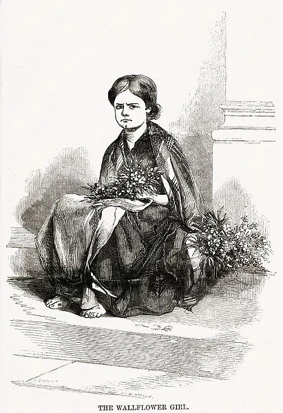 WALLFLOWER GIRL 1850