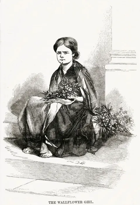 Framed Print : WALLFLOWER GIRL 1850