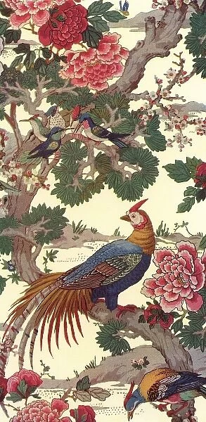 Wallpaper design depicting exotic birds on branch