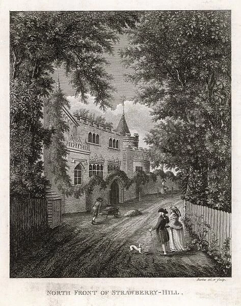 Walpole  /  Strawberry 1786