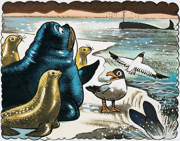 Walrus and gulls looking at whale