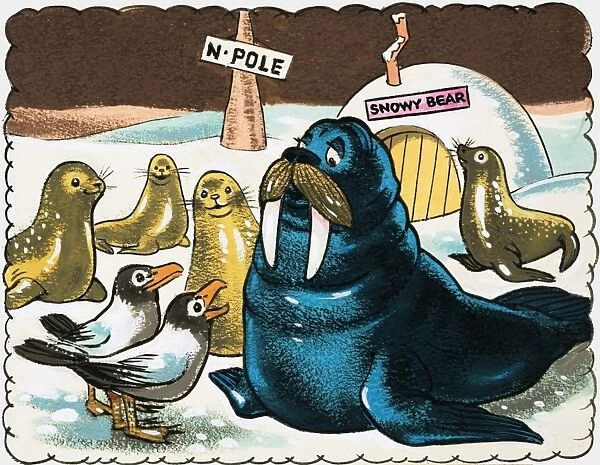 Walrus and gulls at the North Pole