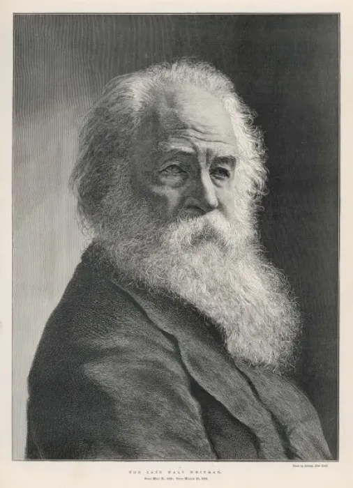 Framed Print : Walt Whitman Framed Print : Walt Whitman