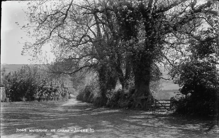 Framed Print : Wambrook Lane Framed Print : Wambrook Lane