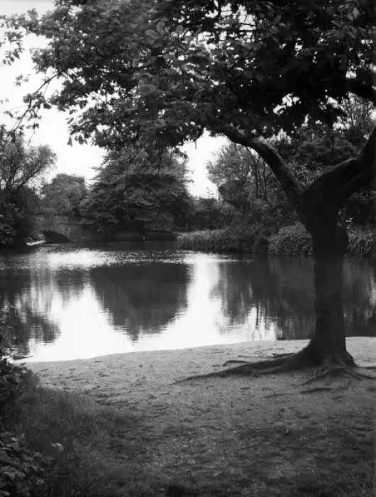 Framed Print : Wandsworth Common Lake Framed Print : Wandsworth Common Lake