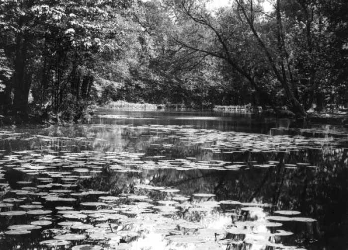 Framed Print : Wanstead Lake Framed Print : Wanstead Lake