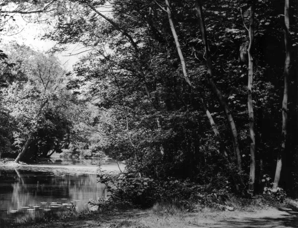 Wanstead Park Print - Essex, England, 1930s. Art Prints, Posters