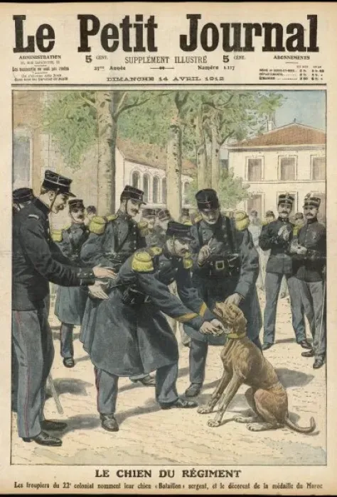 Framed Print : War Dog Promoted Framed Print : War Dog Promoted