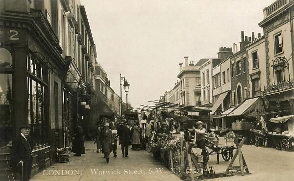 Warwick Street, Pimlico, London