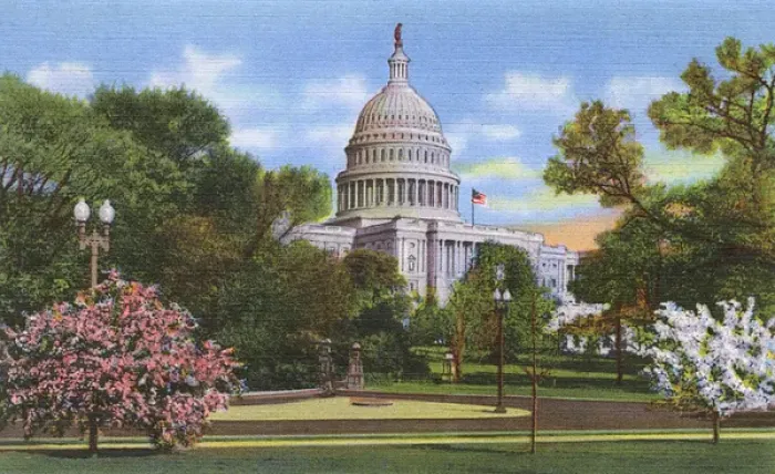 Framed Print : Washington DC, USA - US Capitol at blossom time Framed Print : Washington DC, USA - US Capitol at blossom time