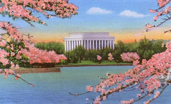 Washington DC, USA - Lincoln Memorial and cherry blossoms