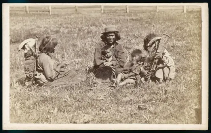 Framed Print : Washoe Family Group Framed Print : Washoe Family Group