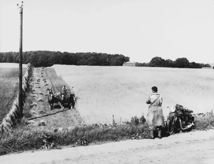 Framed Print : Watching the Harvesting Framed Print : Watching the Harvesting