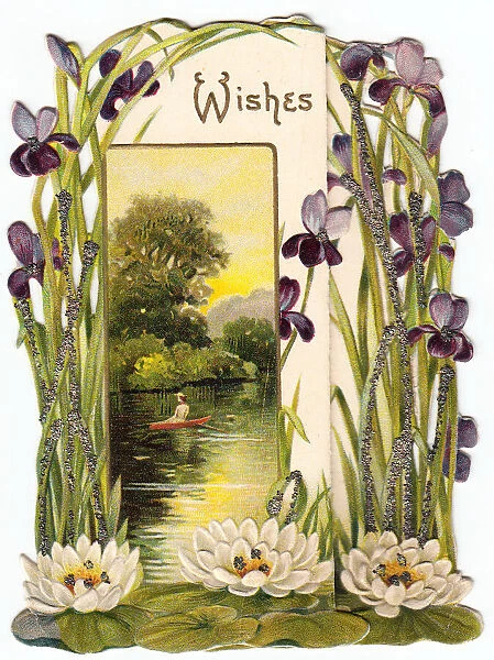 Water lilies and purple irises on a greetings card