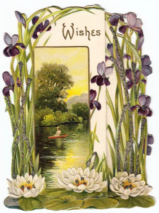 Framed Print : Water lilies and purple irises on a greetings card Framed Print : Water lilies and purple irises on a greetings card