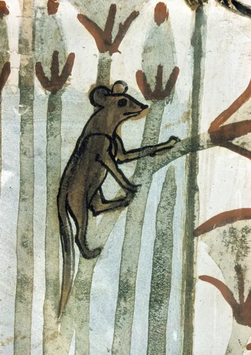 Framed Print : Water Rat Climbing Papyrus Framed Print : Water Rat Climbing Papyrus