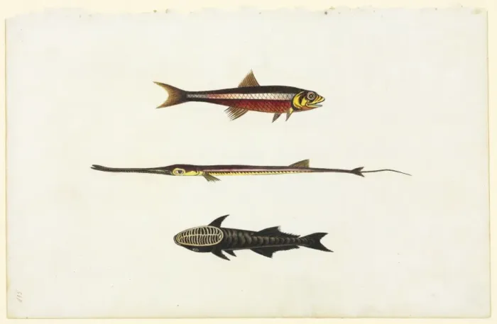 Framed Print : Watercolour 58 from the Watling Collection Framed Print : Watercolour 58 from the Watling Collection