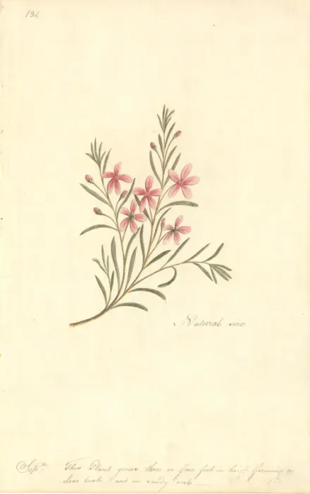Framed Print : Watercolour 67 from the Watling Collection