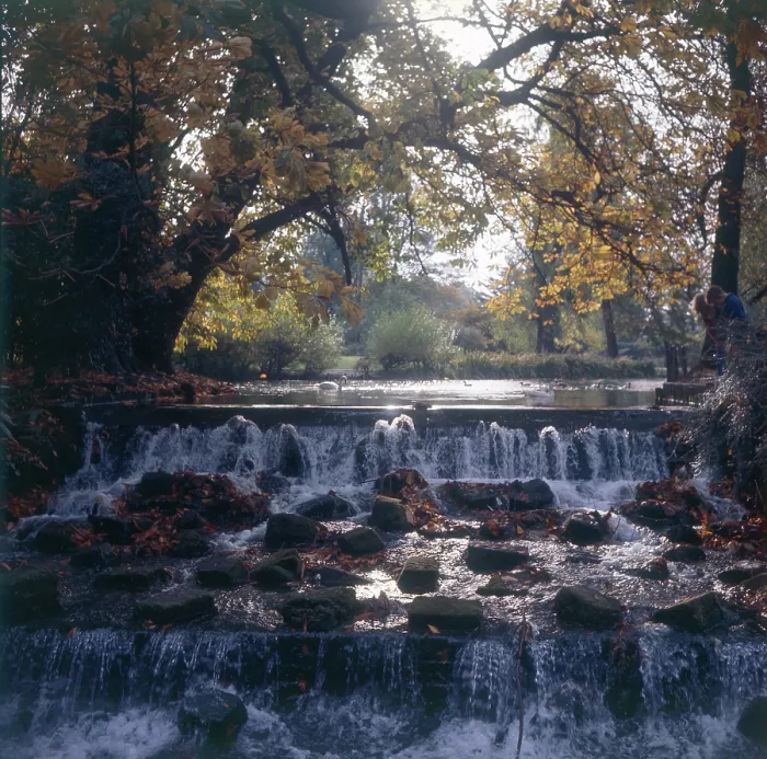 Framed Print : Waterfall at Carshalton Beeches - The Grove Park, Sutton Framed Print : Waterfall at Carshalton Beeches - The Grove Park, Sutton