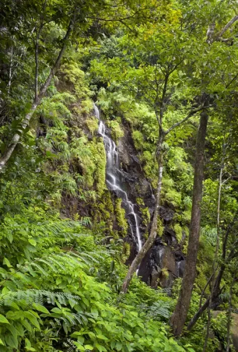 Framed Print : A waterfall in Ferney Forest Framed Print : A waterfall in Ferney Forest