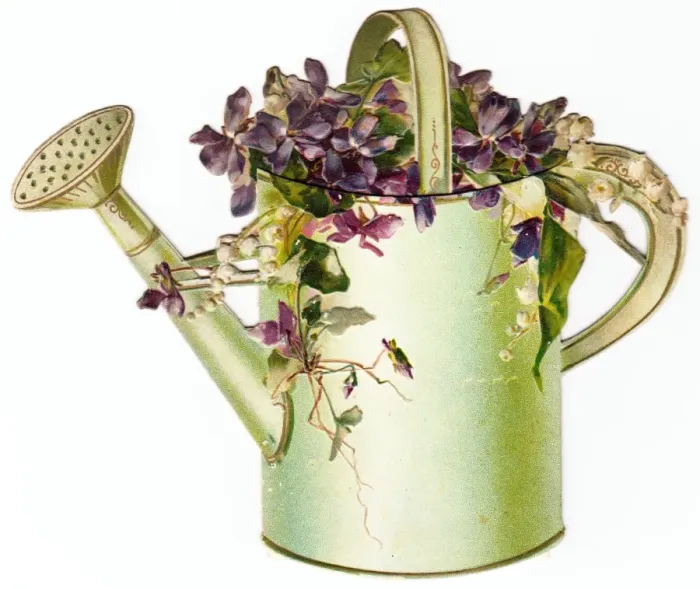 Framed Print : Watering can and flowers on a Victorian scrap Framed Print : Watering can and flowers on a Victorian scrap