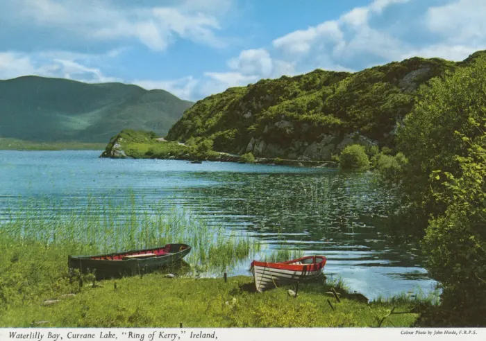Framed Print : Waterlilly Bay, Currane Lake, Ring of Kerry Framed Print : Waterlilly Bay, Currane Lake, Ring of Kerry